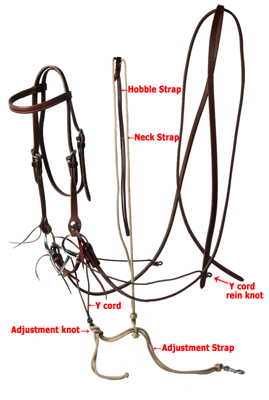 M3LabeledGermanMartingaleIMG_51322