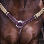 BC5 Breast Collar with Natural Rawhide & Blk Ring Knots