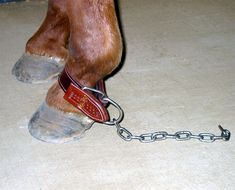 Kick Chain, with an ”easyon/easyoff” fastener Dennis Moreland Tack