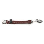 Snap and Buckle for Breast Collars and Martingales