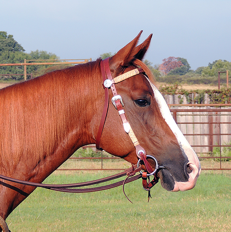 headstalls for horses