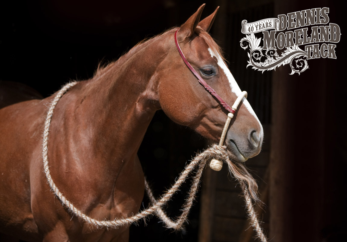 of nose parts Which DM Tack Hackamore California Use? I Should Diameter of nose parts Which DM Tack Hackamore California Use? I Should Diameter
