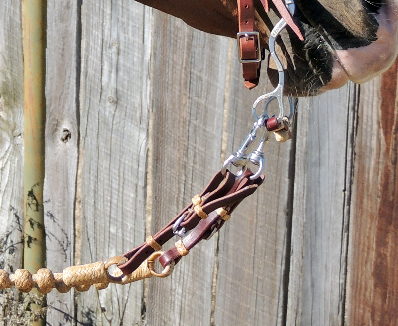 Romal Reins Connecting Straps - Dennis Moreland Tack