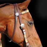 Browband Headstall with Rawhide and Silver