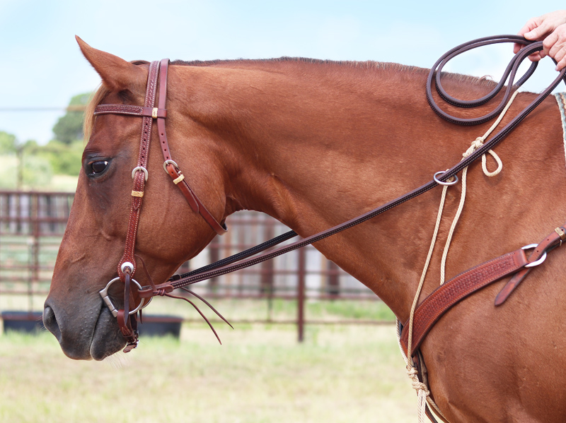 The California Martingale Helps Your Horses With Training For Collection The California Martingale Helps Your Horses With Training For Collection