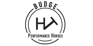 Budge Performance Horses