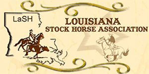 Louisiana Stock Horse Association